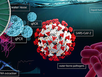 PCR Biosurveillance Header