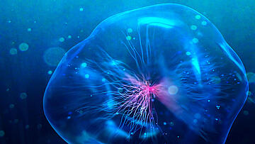Banner How to analyze single nanoparticles and cells using fast time-resolved ICP-MS