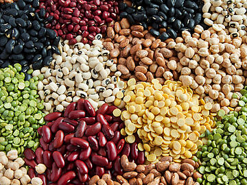 Various Legumes, colorful beans top view