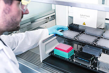 A scientist placing labware on the deck of a CyBio Felix liquid handler inside a Clean Bench enclosure.