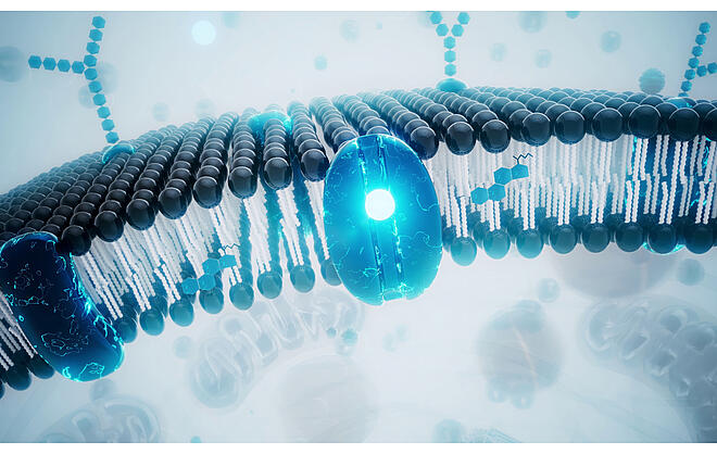From expert task to lab routine: Membrane protein purification and analysis simplified