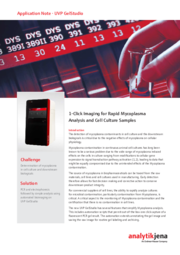 AppNote-UVP-GelStudio-Mycoplasma-Analysis-en